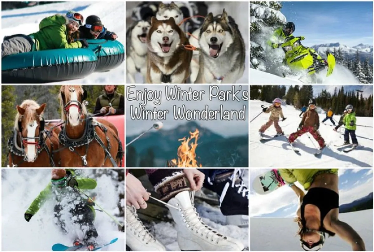 People enjoy a range of winter activities including tubing, dog sledding with Siberian huskies, snowboarding, horse-drawn sled rides, skiing, and skating. Children and families are present, embodying the fun and excitement of outdoor winter recreation.